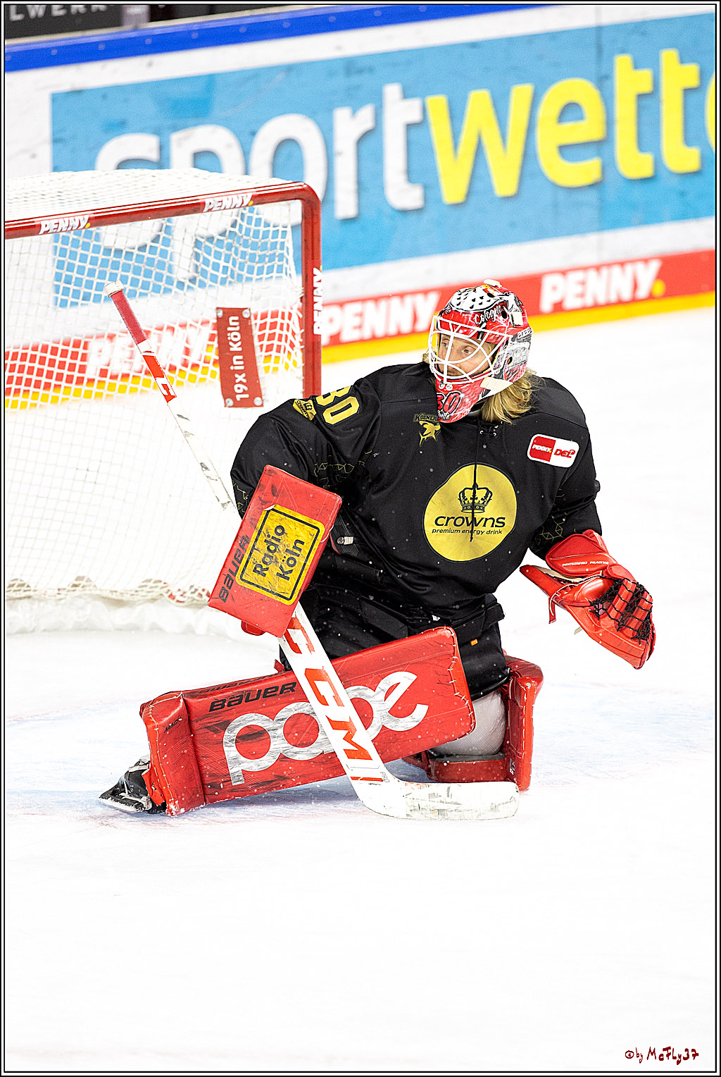 PENNY DEL;  Kölner Haie - Straubing Tigers; Köln, 09.10.2022